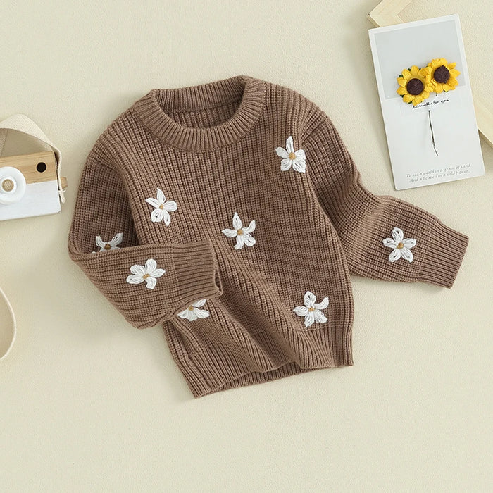 2023-09-05 Lioraitiin 0-24M Newborn Baby Girls Sweaters Clothes Toddler Flower Embroidery Knitted Loose Jumpers Tops Costume