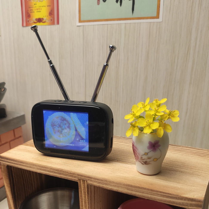 Retro Mini Touch Screen TV Television Watch Dollhouse Scene Model Miniature TV Model Toys Kitchen Furniture Customizable Content