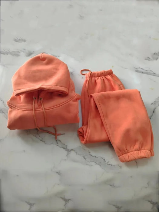 Hoodies Suit Winter Spring Solid Casual Tracksuit Women Fleece 2 Pieces Set Sports Sweatshirts Pullover Sweatpants Wholesale