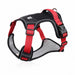 40661993914439|40661994045511|40661994143815|40661994340423