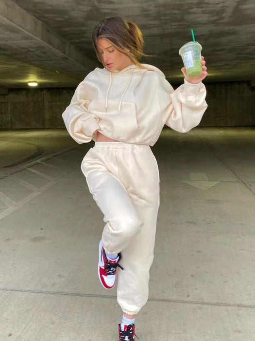 Hoodies Suit Winter Spring Solid Casual Tracksuit Women Fleece 2 Pieces Set Sports Sweatshirts Pullover Sweatpants Wholesale
