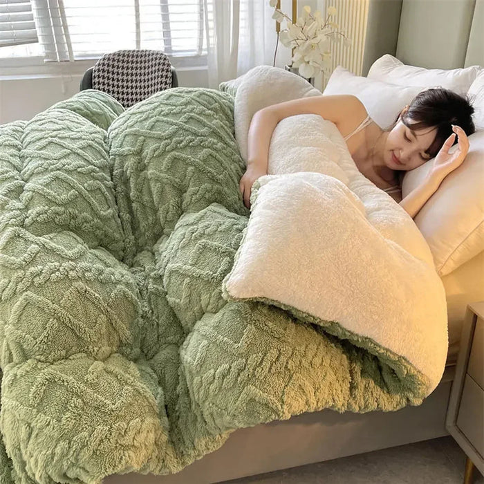 Winter Bedding Thick Quilt Blanket Thickened Warm Flannel Fleece Comforter for Cold Nights Set Bed Duvets Quilts the Blankets