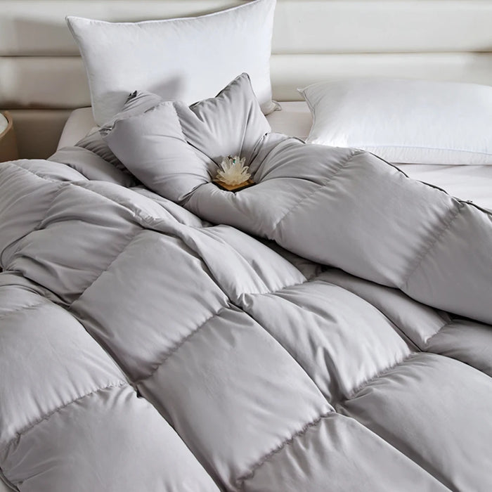 KDJEIKZ  Winter Cotton Goose Down Quilt Five-Star Hotel Duvet Super Soft Fluffy Queen King Full Size Four Seasons Duvets Blanket
